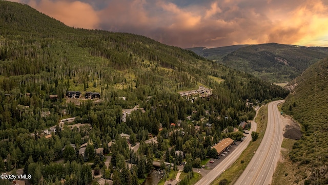 2958 S Frontage Rd W Unit C2, Vail, CO 81657 - photo 52