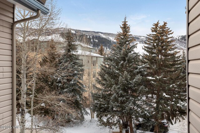 exterior space featuring a mountain view