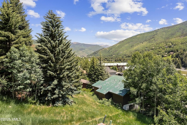 2448 Garmisch Dr Unit 7, Vail, CO 81657 - photo 25