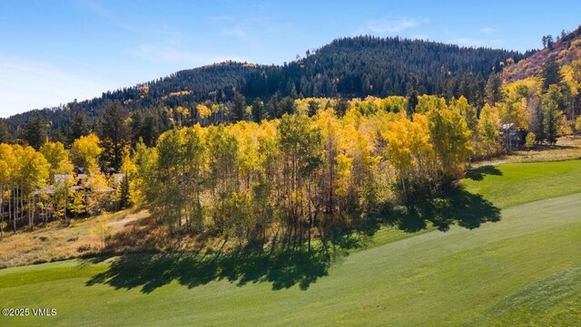 320 Elk Spring Trl, Edwards, CO 81632 - photo 12
