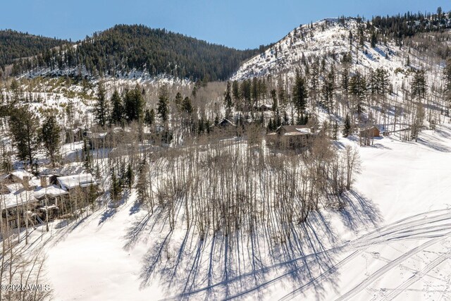 320 Elk Spring Trl, Edwards, CO 81632 - photo 31