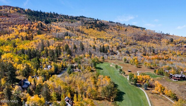 320 Elk Spring Trl, Edwards, CO 81632 - photo 7