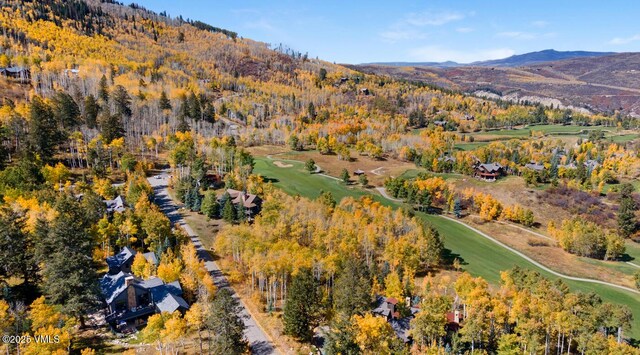 320 Elk Spring Trl, Edwards, CO 81632 - photo 8