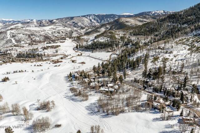 320 Elk Spring Trl, Edwards, CO 81632 - photo 17