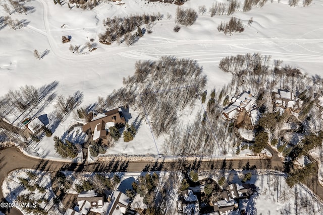 320 Elk Spring Trl, Edwards, CO 81632 - photo 34