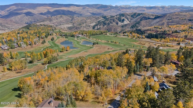 320 Elk Spring Trl, Edwards, CO 81632 - photo 3