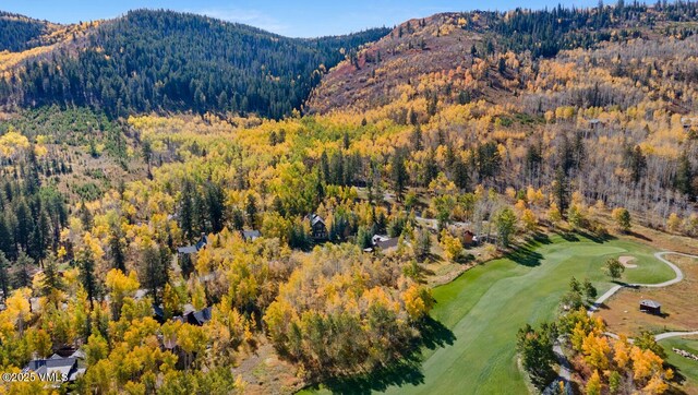 320 Elk Spring Trl, Edwards, CO 81632 - photo 6