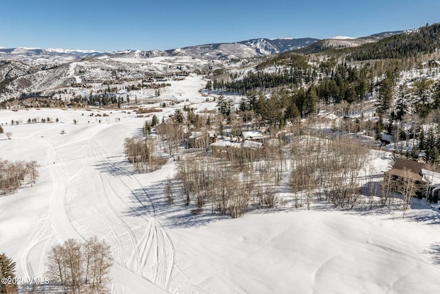 320 Elk Spring Trl, Edwards, CO 81632 - photo 32