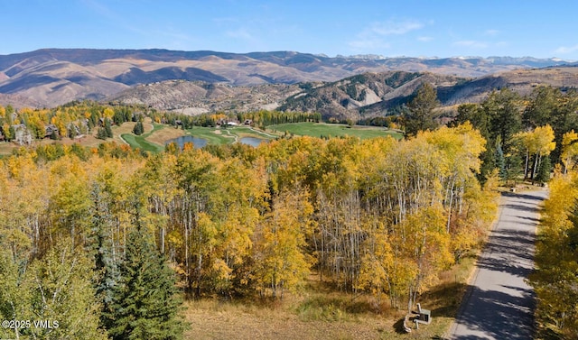320 Elk Spring Trl, Edwards, CO 81632 - photo 4