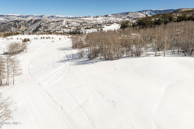 320 Elk Spring Trl, Edwards, CO 81632 - photo 29