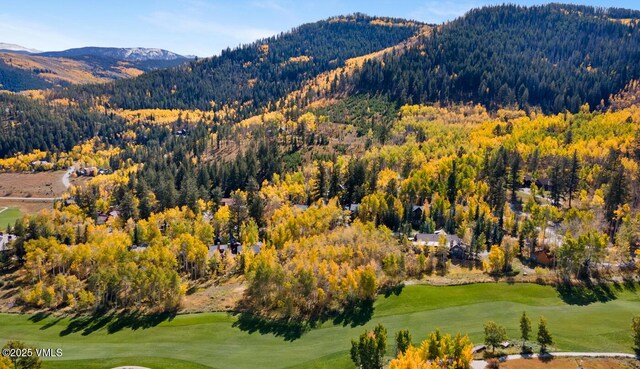 320 Elk Spring Trl, Edwards, CO 81632 - photo 5