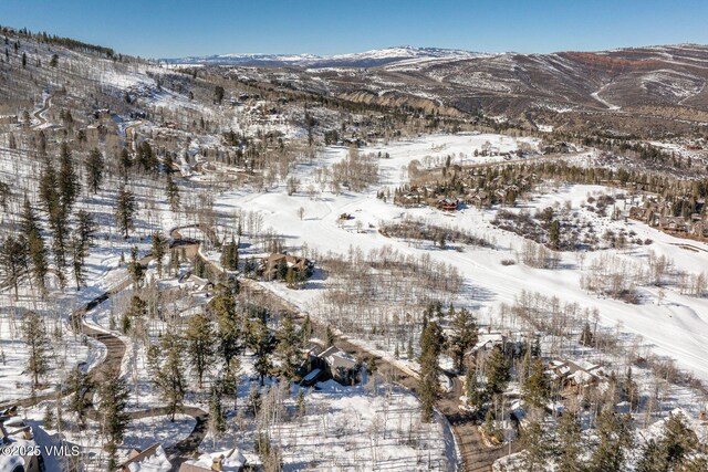 320 Elk Spring Trl, Edwards, CO 81632 - photo 22