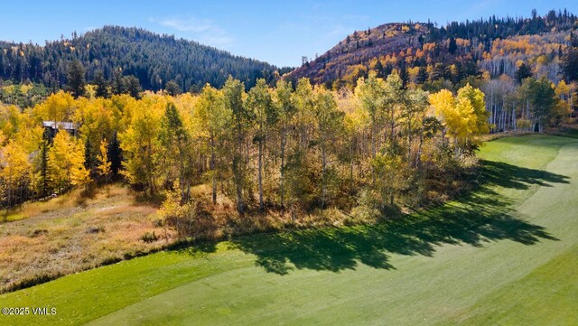 320 Elk Spring Trl, Edwards, CO 81632 - photo 13