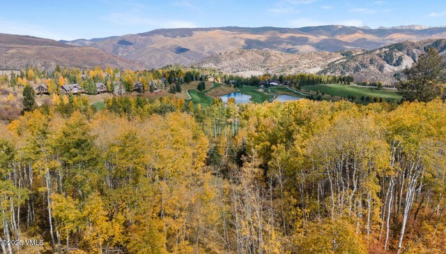 320 Elk Spring Trl, Edwards, CO 81632 - photo 16