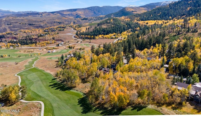 320 Elk Spring Trl, Edwards, CO 81632 - photo 1