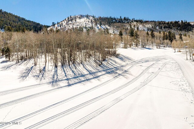 320 Elk Spring Trl, Edwards, CO 81632 - photo 30