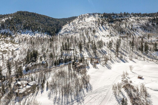 320 Elk Spring Trl, Edwards, CO 81632 - photo 33