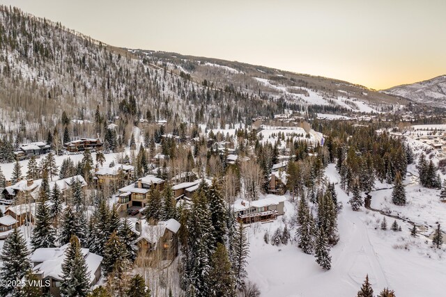 1125 Hornsilver Cir, Vail, CO 81657 - photo 58