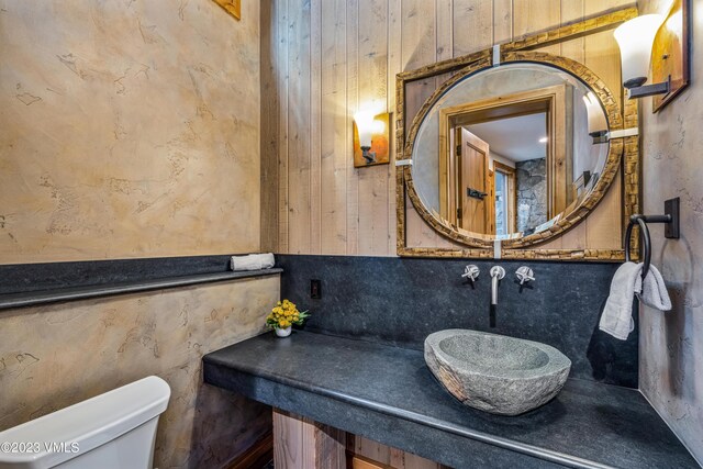 1125 Hornsilver Cir, Vail, CO 81657 - photo 30