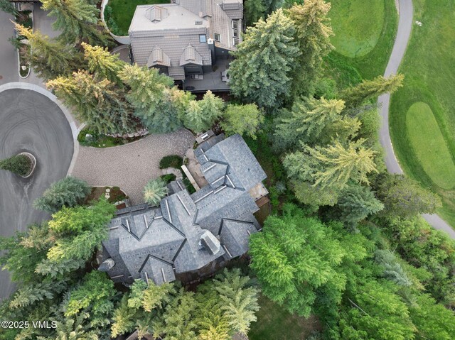 1125 Hornsilver Cir, Vail, CO 81657 - photo 7