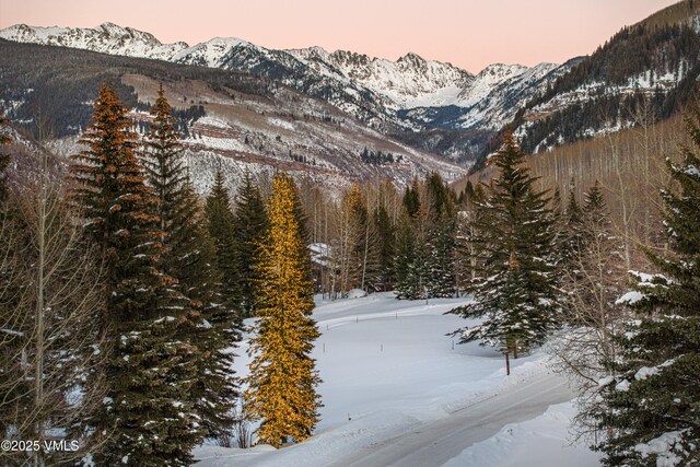 1125 Hornsilver Cir, Vail, CO 81657 - photo 41