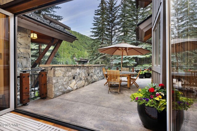 1125 Hornsilver Cir, Vail, CO 81657 - photo 4