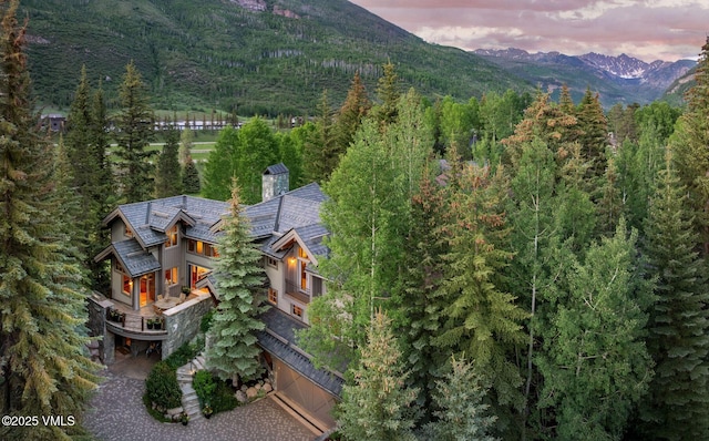 1125 Hornsilver Cir, Vail, CO 81657 - photo 2