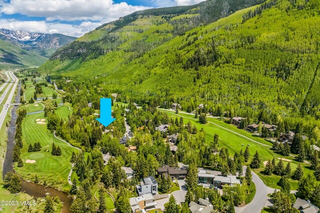 1125 Hornsilver Cir, Vail, CO 81657 - photo 53