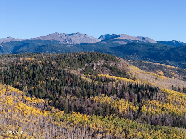 96 Pikes Way, Edwards, CO 81632 - mountain view with a heavily wooded area