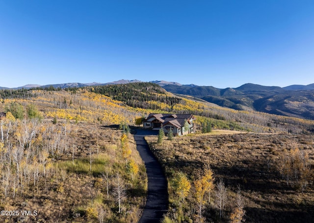 96 Pikes Way, Edwards, CO 81632 - mountain view
