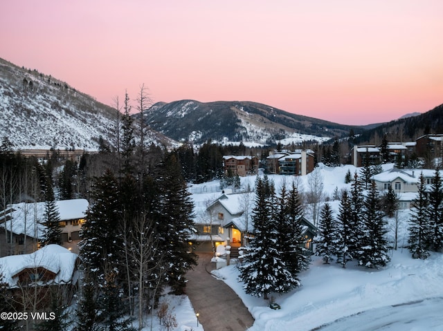 4465 Glen Falls Ln, Vail, CO 81657 - view of mountain backdrop