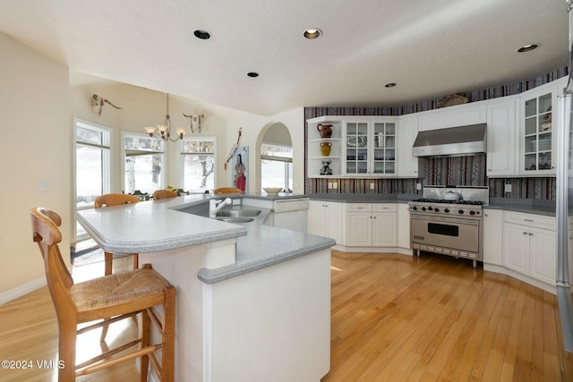 4465 Glen Falls Ln, Vail, CO 81657 - kitchen with designer stove, exhaust hood, a chandelier, dishwasher, and plenty of natural light