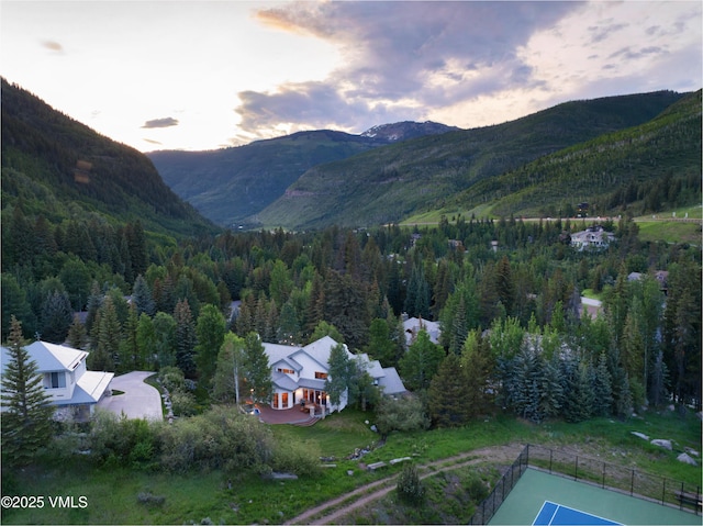 4465 Glen Falls Ln, Vail, CO 81657 - view of mountain background featuring a heavily wooded area