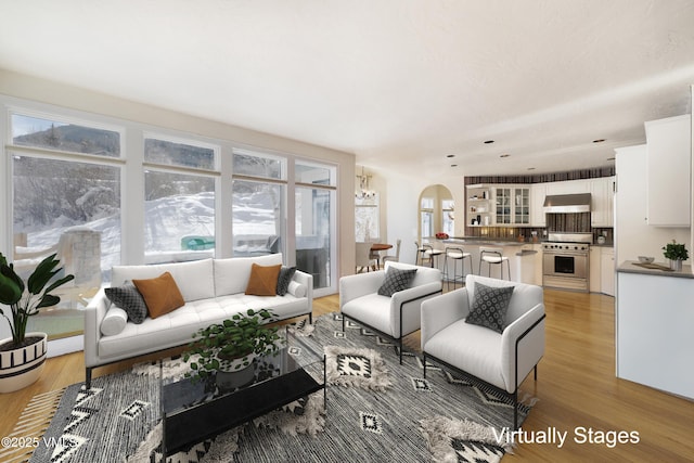 living room with light hardwood / wood-style flooring