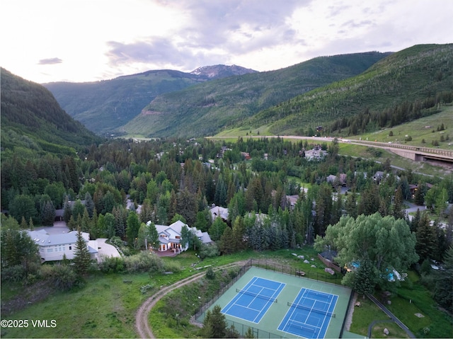 4465 Glen Falls Ln, Vail, CO 81657 - view of property location featuring a mountainous background and a heavily wooded area