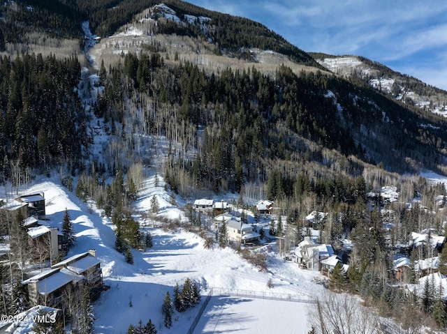 view of mountain feature