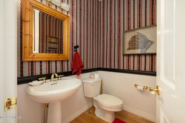 bathroom featuring wood-type flooring and toilet