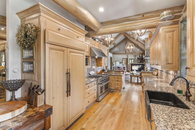 1416 Red Draw, Edwards, CO 81632 - kitchen featuring premium appliances, ventilation hood, a chandelier, backsplash, and light wood finished floors