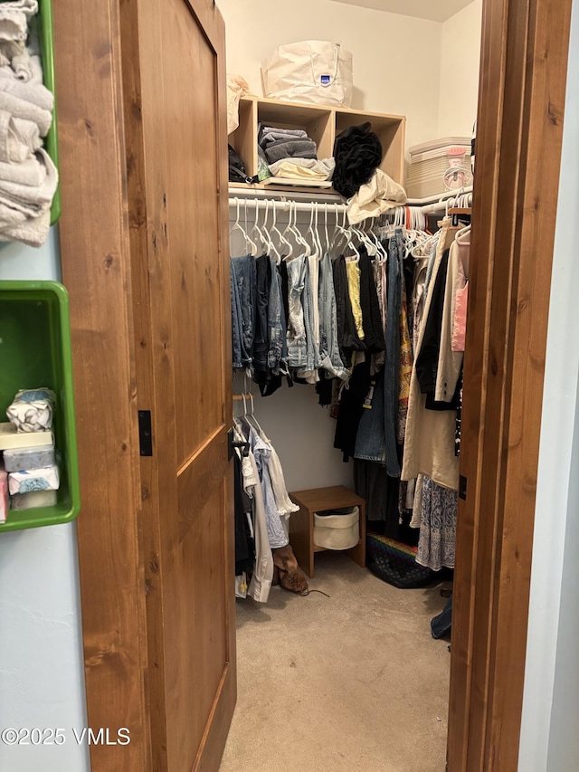 40 Bunker Way, Eagle, CO 81631 - spacious closet with carpet flooring
