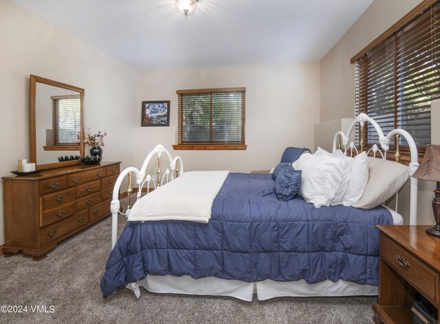 carpeted bedroom featuring multiple windows