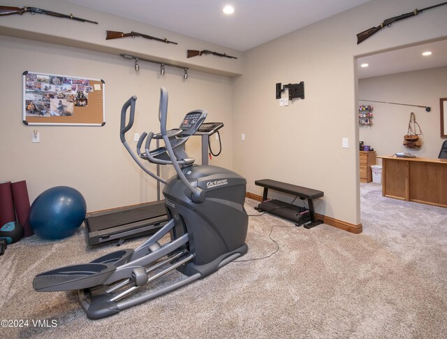 exercise area with light colored carpet