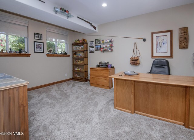 unfurnished office featuring light colored carpet