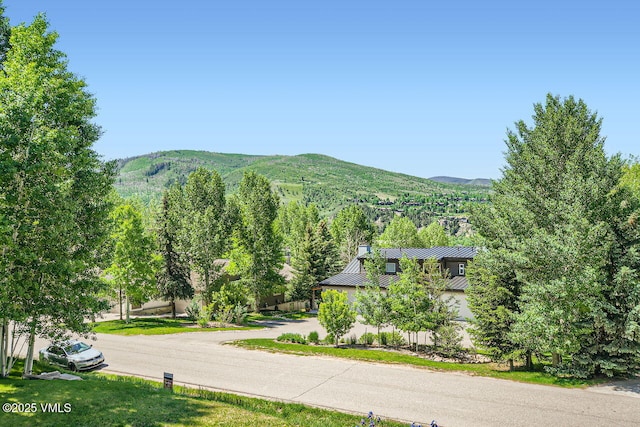 121 Hackamore Rd Unit A, Edwards, CO 81632 - view of mountain background