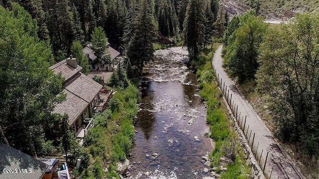 3121 Bellflower Dr Unit B, Vail, CO 81657 - photo 35