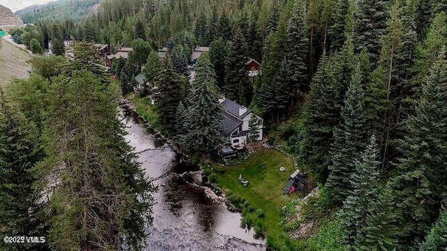 3121 Bellflower Dr Unit B, Vail, CO 81657 - photo 37