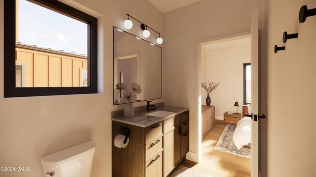 bathroom featuring vanity, toilet, and wood-type flooring