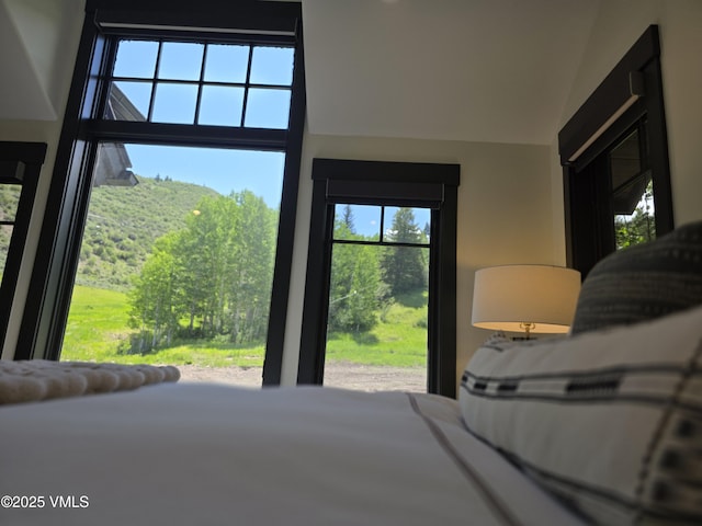 352 Cresta Rd, Edwards, CO 81632 - view of bedroom