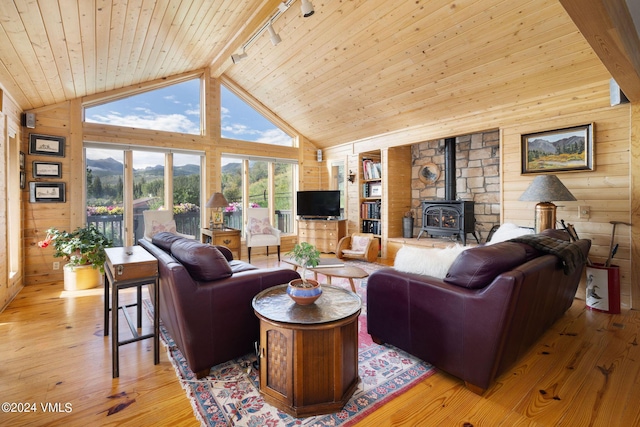 407 Meadow Rd, Edwards, CO 81632 - living area featuring a wood stove, track lighting, wood ceiling, wooden walls, and hardwood / wood-style floors