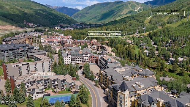 710 W Lionshead Cir Unit 501, Vail, CO 81657 - aerial view of property's location with a mountainous background