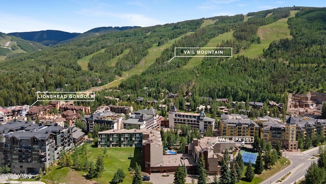 710 W Lionshead Cir Unit 501, Vail, CO 81657 - aerial view of property and surrounding area with a heavily wooded area and mountains